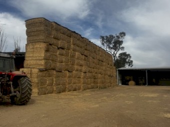 400mt Wheaten Straw