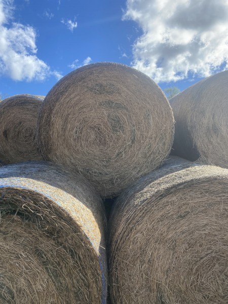 35 x Lucerne Hay Round Bale