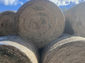 35 x Lucerne Hay Round Bale