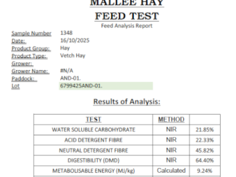 1000mt Vetch Oaten Hay Blend 8x4x3 Bales
