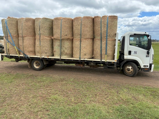 Bluegrass Hay 4x4 Rounds