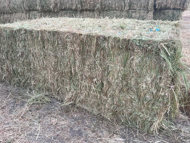 Barley/Ryegrass hay