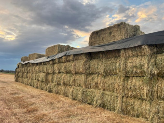 Barley/Ryegrass hay