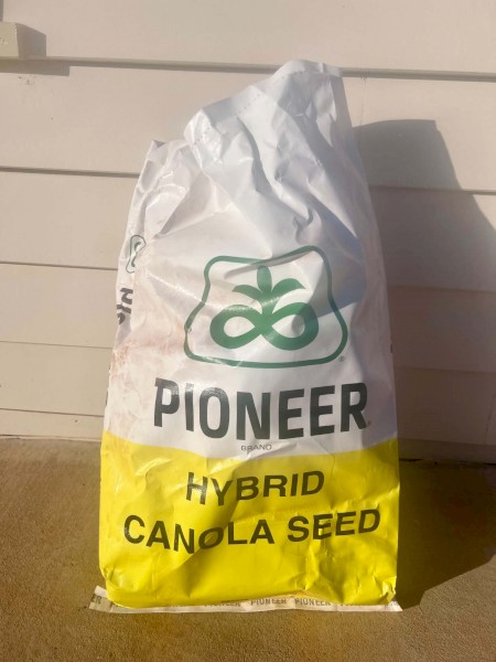 30kg Canola PY428R Seed