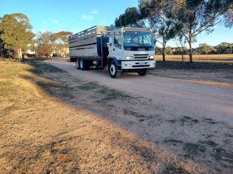 2007 Isuzu FVM 1400 Livestock Truck