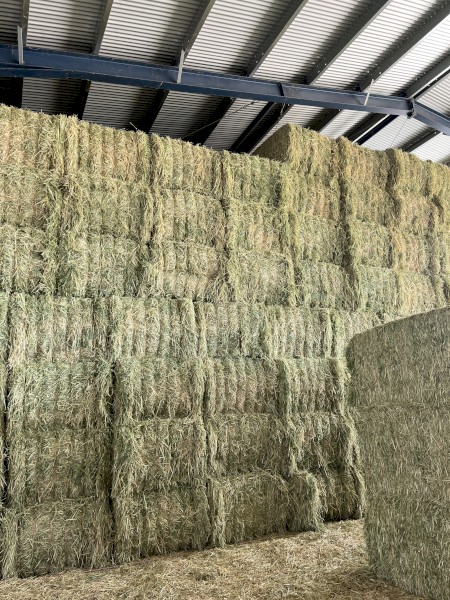 300mt Wheaten Hay 8x4x3 Bales