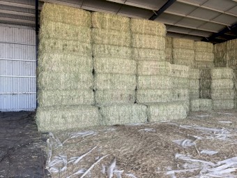 300mt Wheaten Hay 8x4x3 Bales