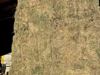 110 tonnes Vetch Hay 8x4x3 Bales