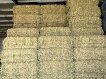 40mt Oaten Hay 8x4x3 Bales