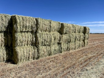 40mt Oaten Hay 8x4x3 Bales
