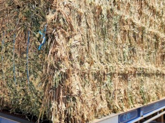 80mt Arrowleaf Cover Hay 680kg 8x4x3 Bales