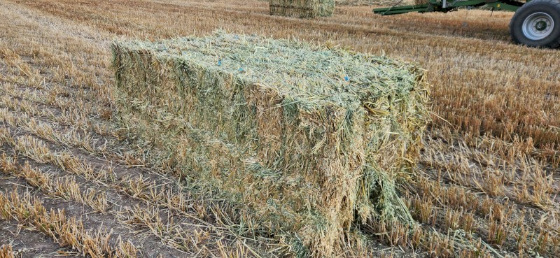 750mt Oaten Hay 640kg 8x4x3 Bales