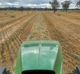 750mt Oaten Hay 640kg 8x4x3 Bales