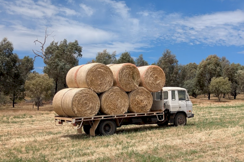 200 x Oaten/Ryegrass 380-400kg Round Bales