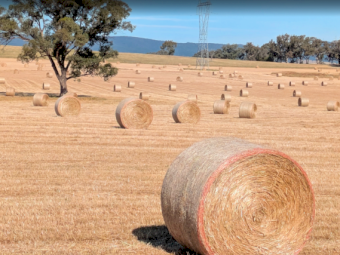 200 x Oaten/Ryegrass 380-400kg Round Bales
