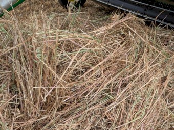 200 x Oaten/Ryegrass 380-400kg Round Bales