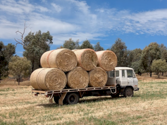 200 x Oaten/Ryegrass 380-400kg Round Bales