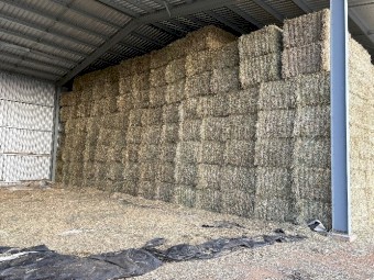 Oaten Hay 8x4x3 Bales