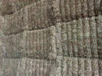500mt Vetch Hay 8x4x3 bales