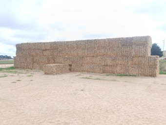 60 x Wheaten Straw 513kg 8x4x3 Bales