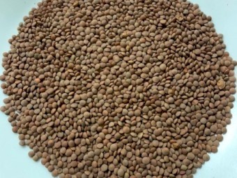 Thunder Lentils