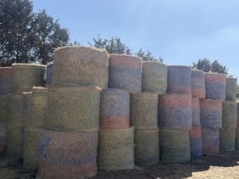 300 x Native Grass Rolls
