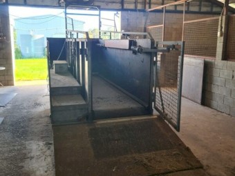 Horse Treadmill  