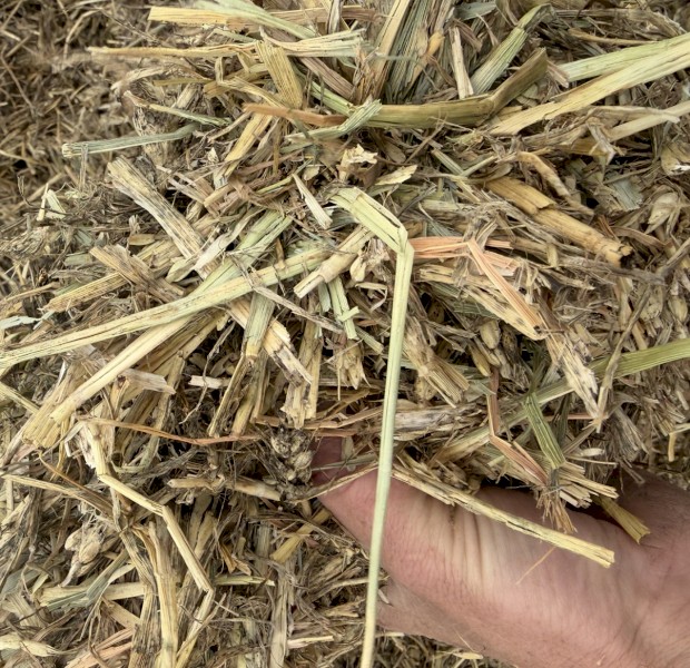 220mt Wheaten Hay 8x4x3 Bales