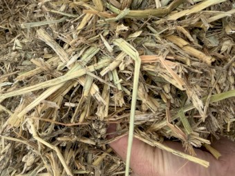 220mt Wheaten Hay 8x4x3 Bales
