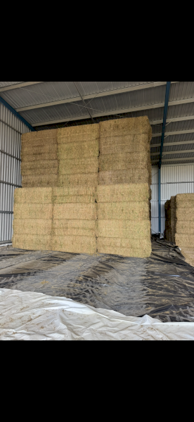 500mt Vetch Hay 8x4x3 Bales