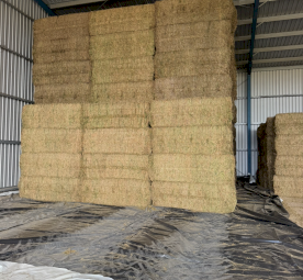 500mt Vetch Hay 8x4x3 Bales