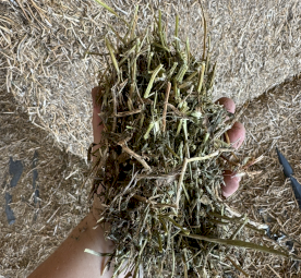 500mt Vetch Hay 8x4x3 Bales