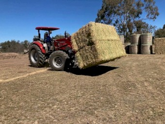 200mt Barley Hay 8x4x3