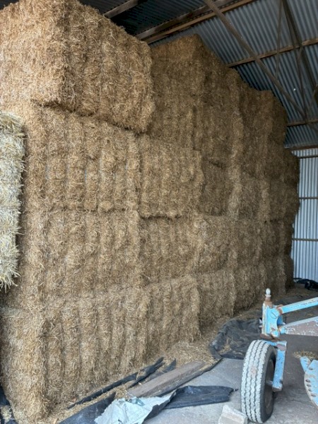 32mt Vetch Hay 730kg 8x4x3 Bales