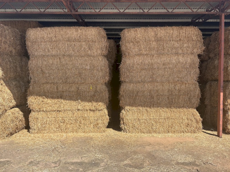 250mt Vetch Hay 640-670kg 8x4x3 Bales