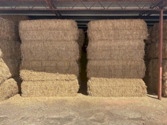 250mt Vetch Hay 640-670kg 8x4x3 Bales