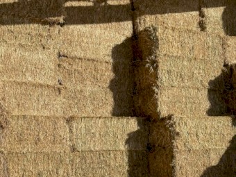 200mt Oaten Hay 8x4x3 Bales