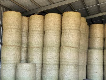 Oaten Hay 4x4 Round Bales