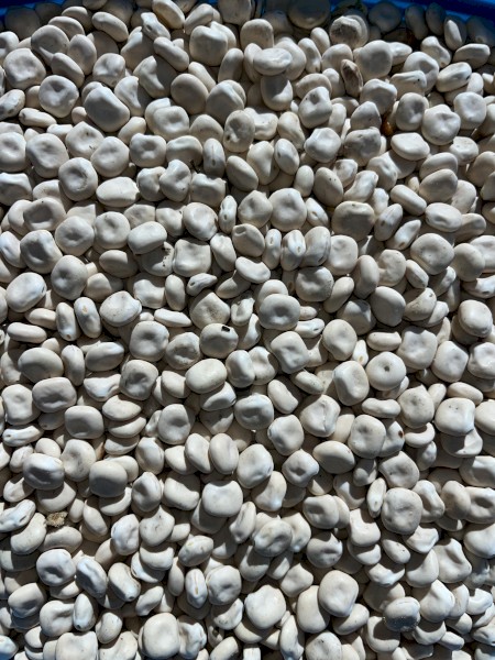 200mt Feed Lupins