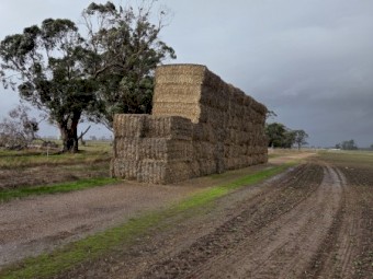 80mt Wheat Clover Hay 8x4x3 Bales