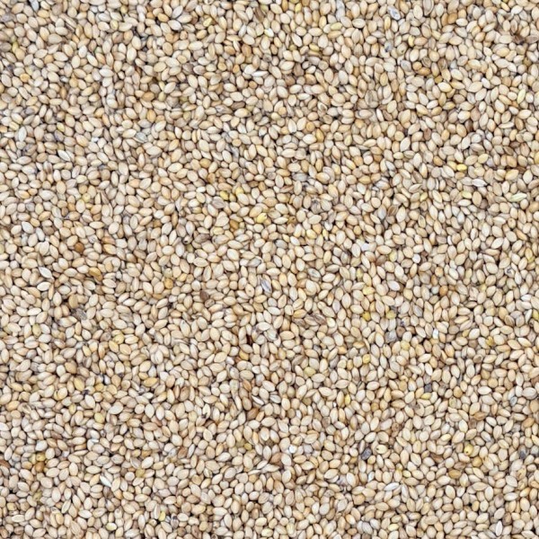 Shirohie Millet in Bulka Bags $2.60 + GST per kg
