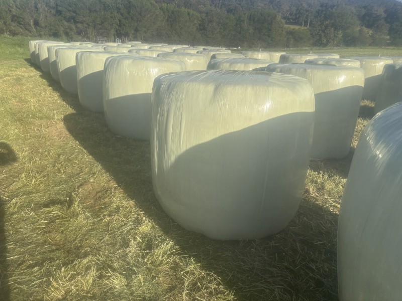 70 x Silage Round Bales Wangaratta/Benalla