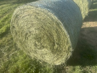 70 x Silage Round Bales Wangaratta/Benalla