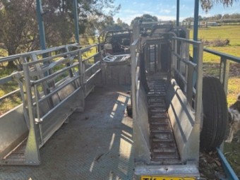 2022 Peak Hill One Stand Crutching Trailer