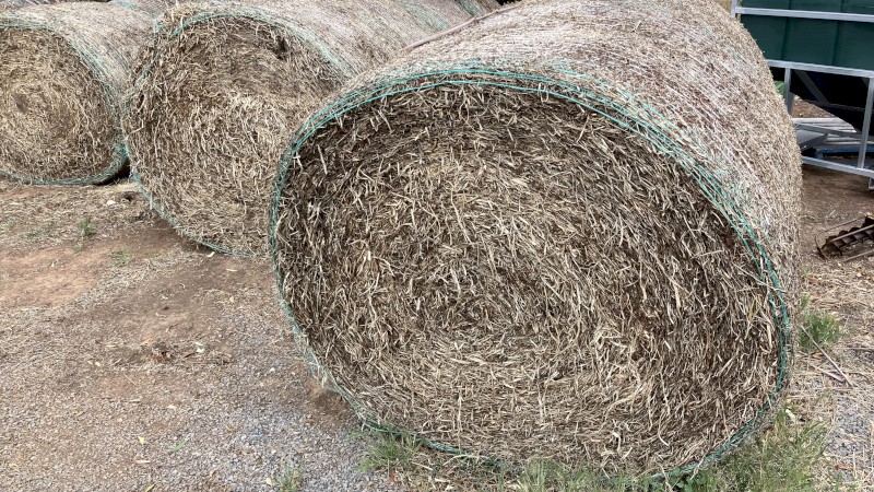 Clover Hay 5x4 Rolls