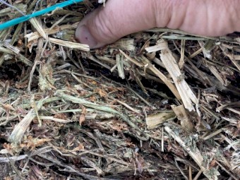Clover Hay 5x4 Rolls