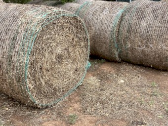 Clover Hay 5x4 Rolls
