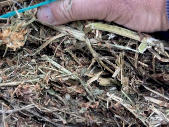 Clover Hay 5x4 Rolls