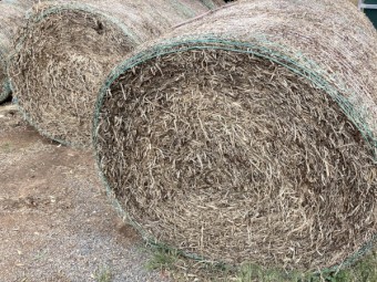 Clover Hay 5x4 Rolls