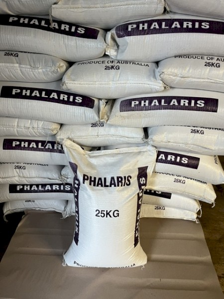 2025 Holdfast Phalaris Seed